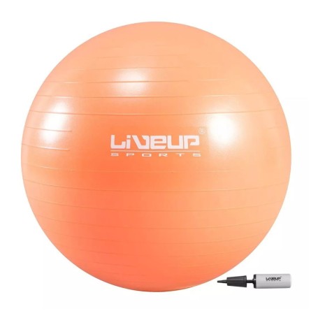 Pelota Pilates Yoga 65cm + Inflador Para Pilates Terapia