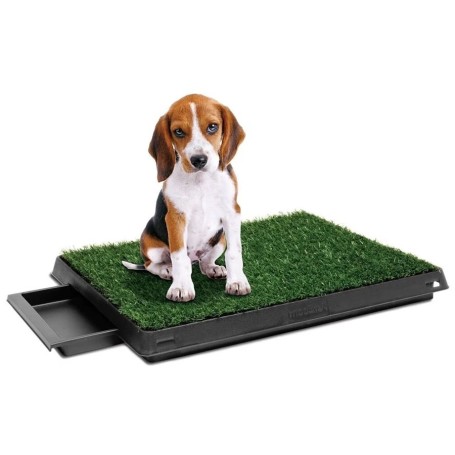 Baño Ecológico Portátil Para Mascotas Puppy Potty Pad