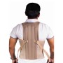 Corrector Postura Fajadorso Lumbar Sacro Ortopedica Unisex